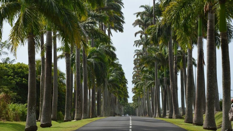 Les activités à pratiquer avec vos enfants en Guadeloupe